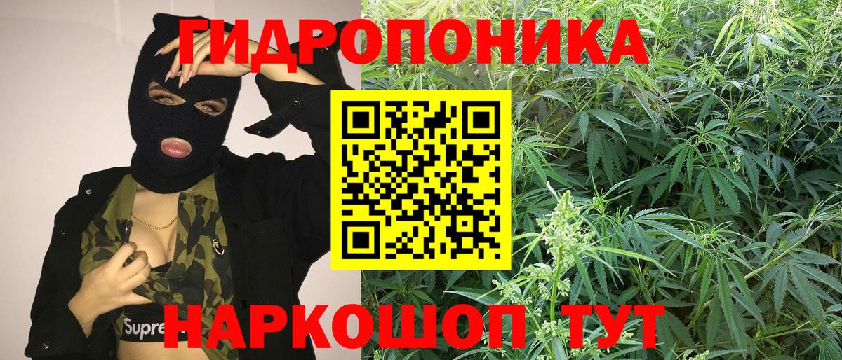 МЕФ кристаллы  ГАШИШ  МЕТ  Конопля  Мефедрон  Кокаин  А ПВП СК кристаллы  Узловая  Вход с VPN  Метадон  Гашиш 